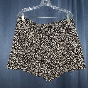Women’s LOFT Leopard Print Shorts, Size 12